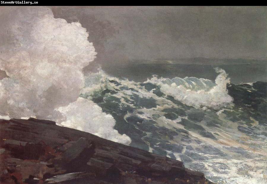 Winslow Homer Northeaster